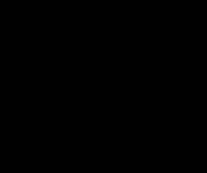 bola bondage